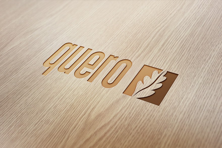 portfolio_logo_Quero